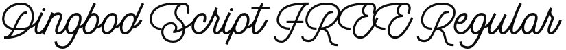Dingbod Script FREE font download