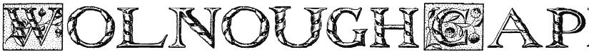 Wolnough Capitals font download