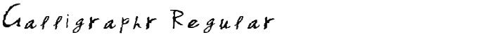 Calligraphr Regular