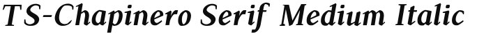 TS-Chapinero Serif Medium Italic