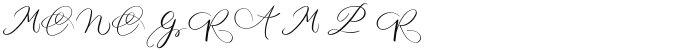 MONOGRAM P Regular