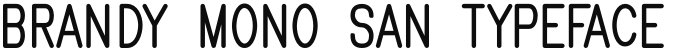 Brandy mono san typeface Regular