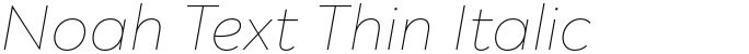 Noah Text Thin Italic