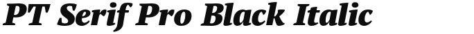 PT Serif Pro Black Italic