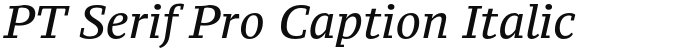 PT Serif Pro Caption Italic