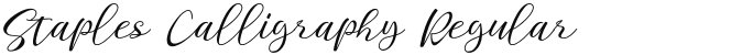 Staples Calligraphy Regular