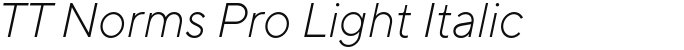 TT Norms Pro Light Italic