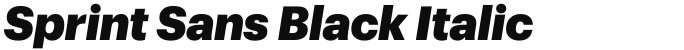 Sprint Sans Black Italic