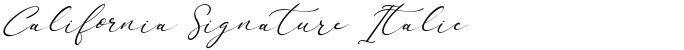 California Signature Italic