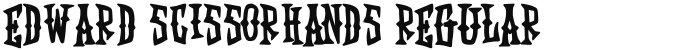 Edward Scissorhands Regular