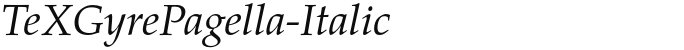 TeXGyrePagella-Italic