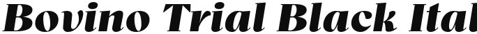 Bovino Trial Black Italic