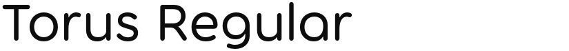 Torus font download