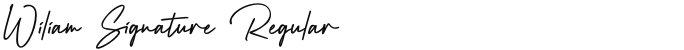 Wiliam Signature Regular