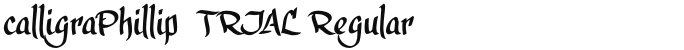 calligraPhillip_TRIAL Regular