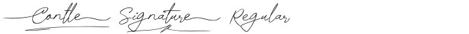 Contle Signature Regular