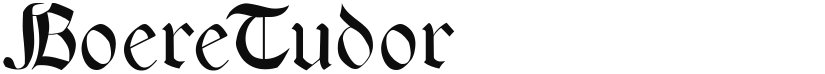 Boere Tudor font download