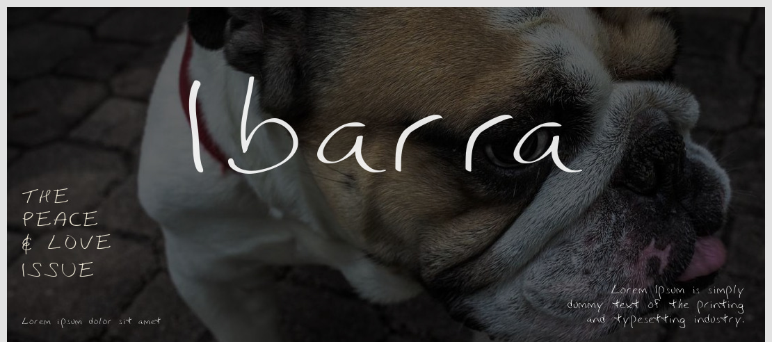 Ibarra Font