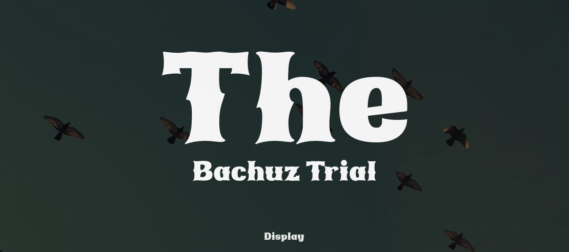 The Bachuz Trial Font