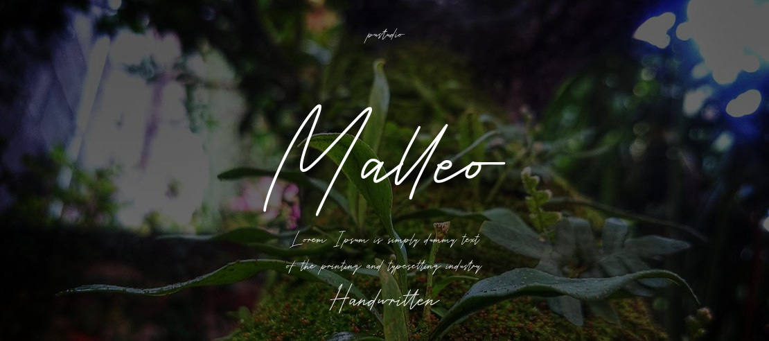 Malleo Font