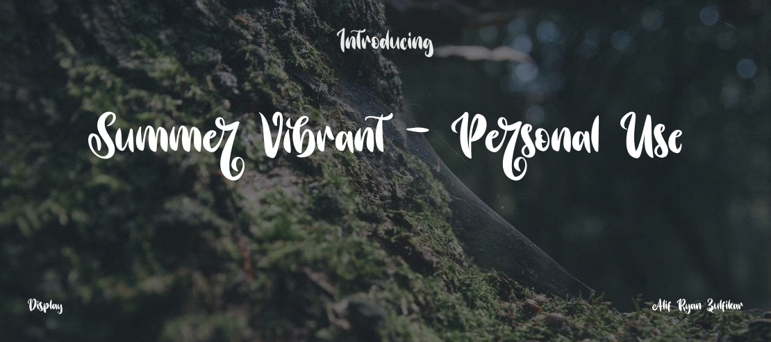 Summer Vibrant - Personal Use Font