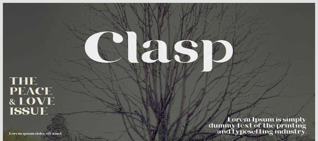 Clasp Font