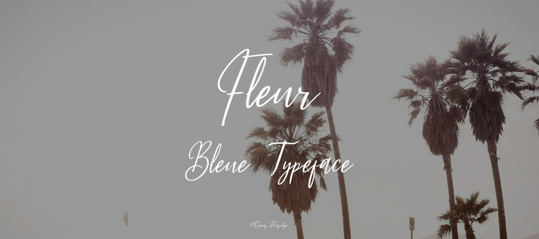 Fleur Bleue Font