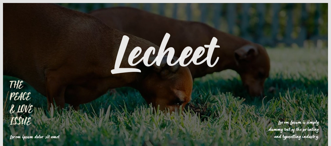 Lecheet Font
