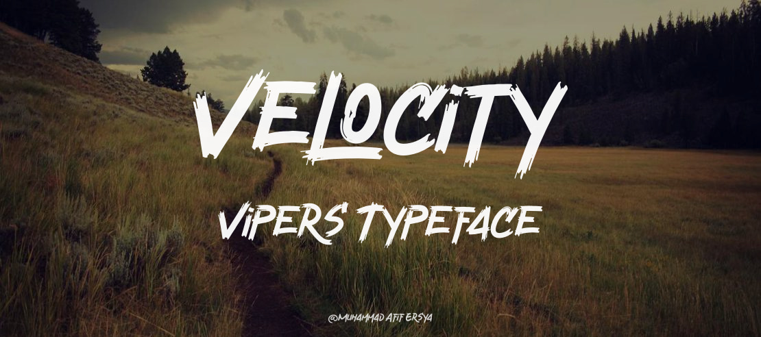 Velocity Vipers Font