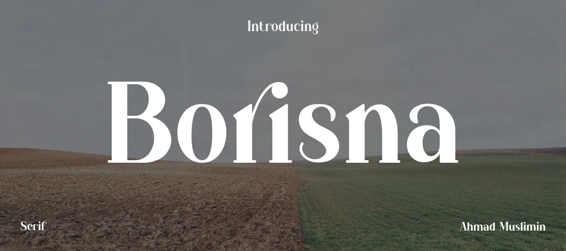 Borisna Font
