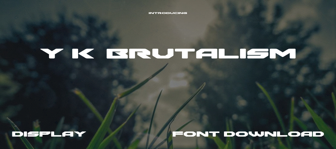 Y2K Brutalism Font