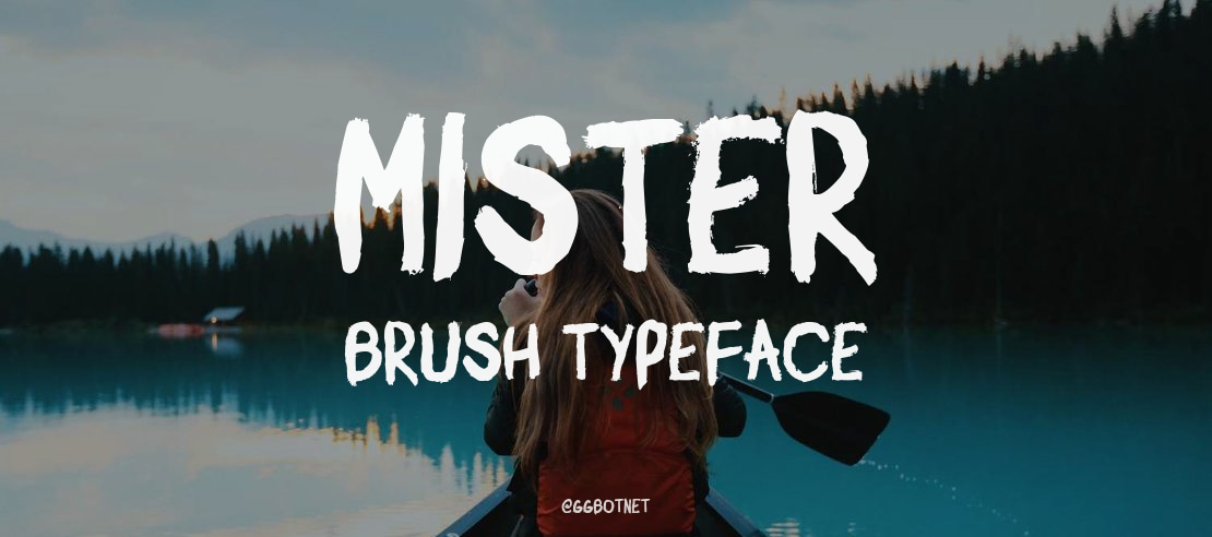 Mister Brush Font