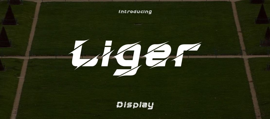 Liger Font