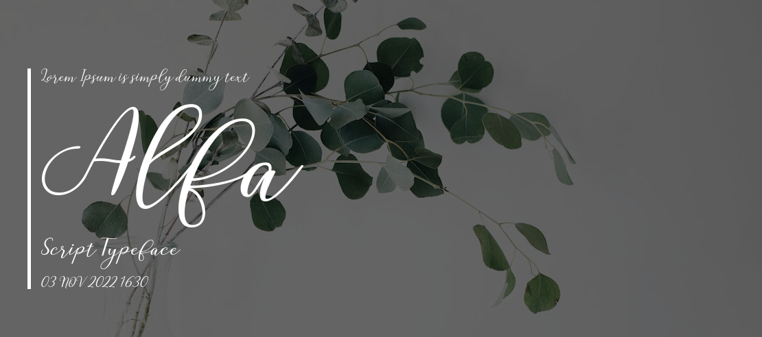 Alfa Script Font