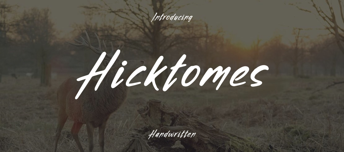 Hicktomes Font