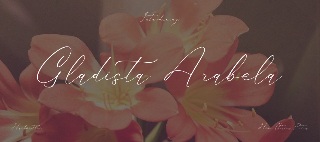 Gladista Arabela Font