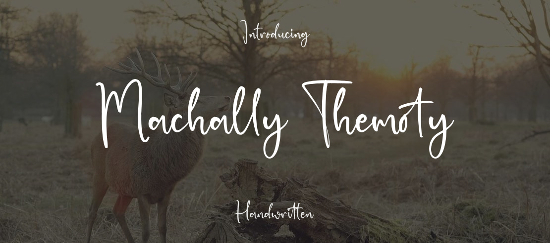 Machally Themoty Font