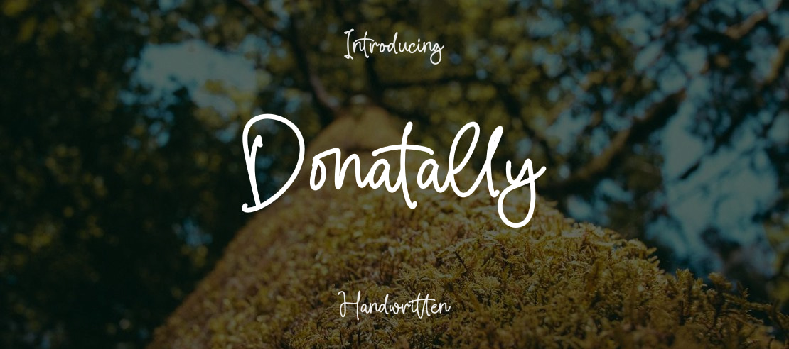 Donatally Font