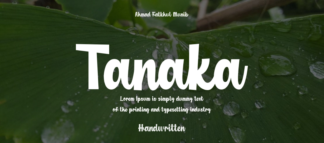 Tanaka Font