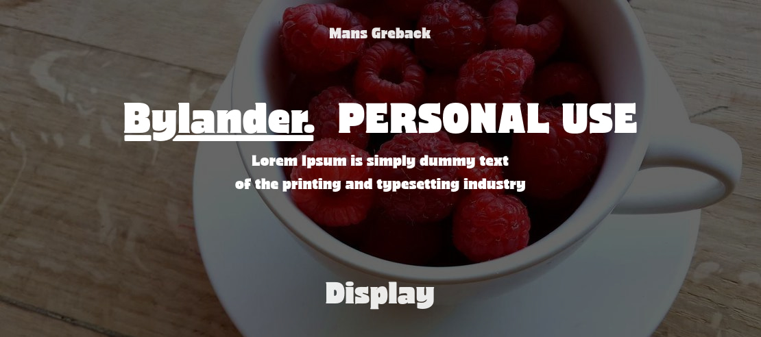 Bylander  PERSONAL USE Font Family