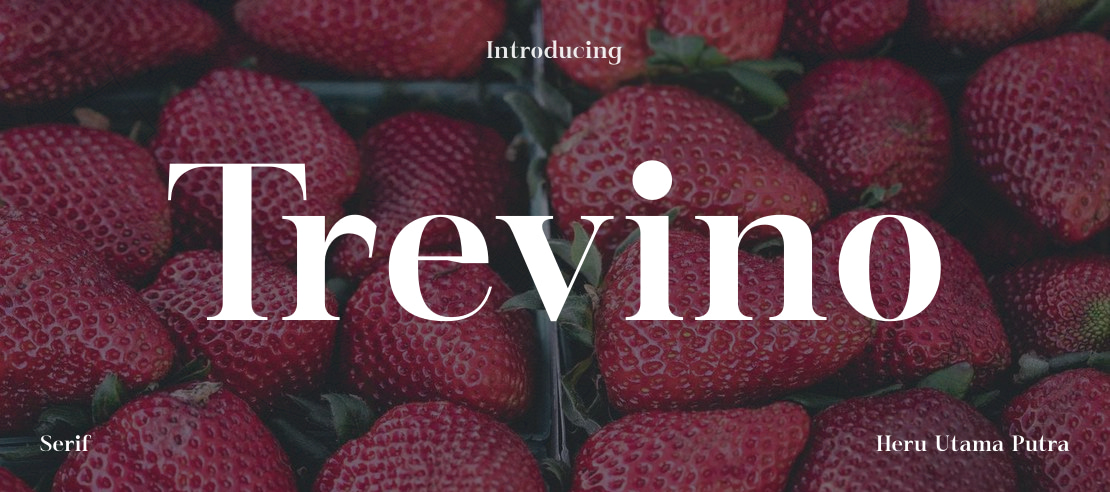 Trevino Font