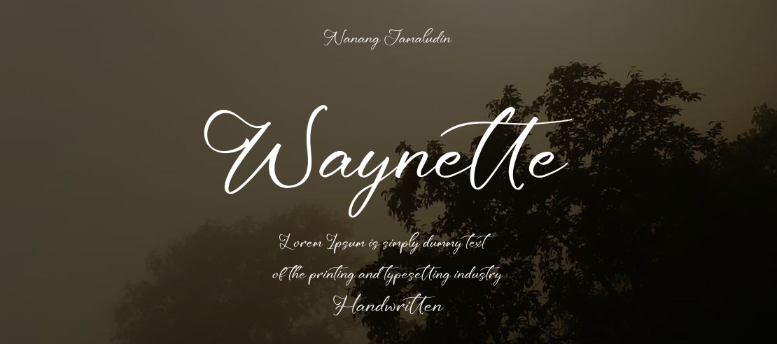 Waynette Font