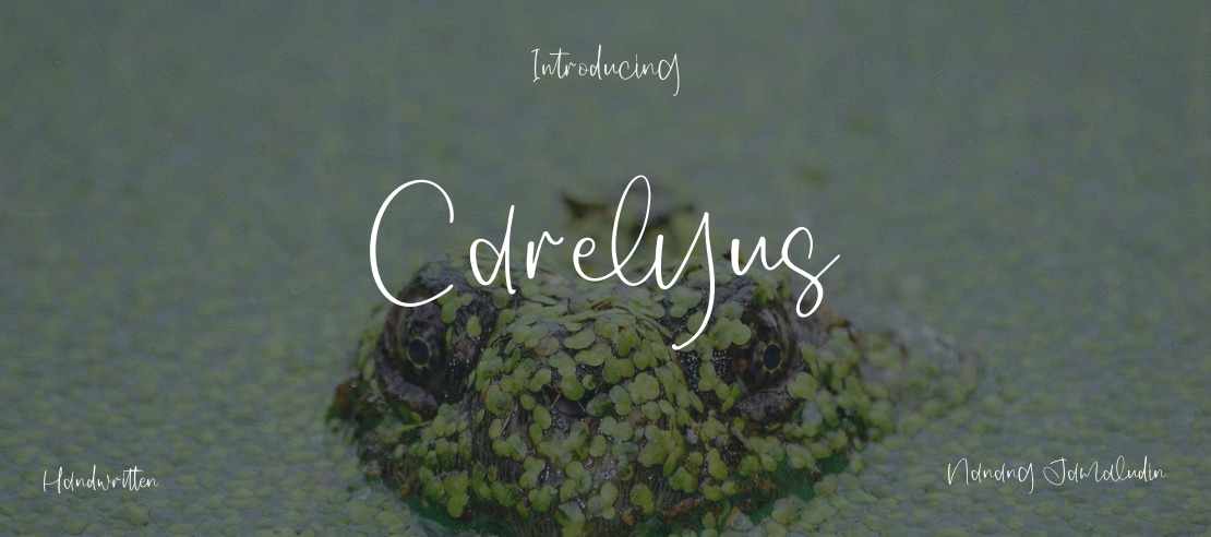 Carelyus Font