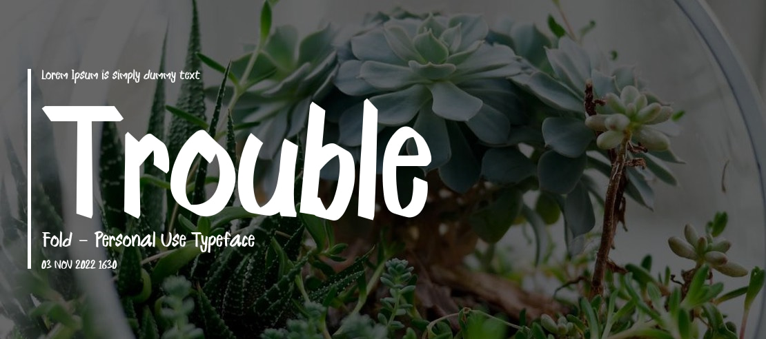 Trouble Fold - Personal Use Font