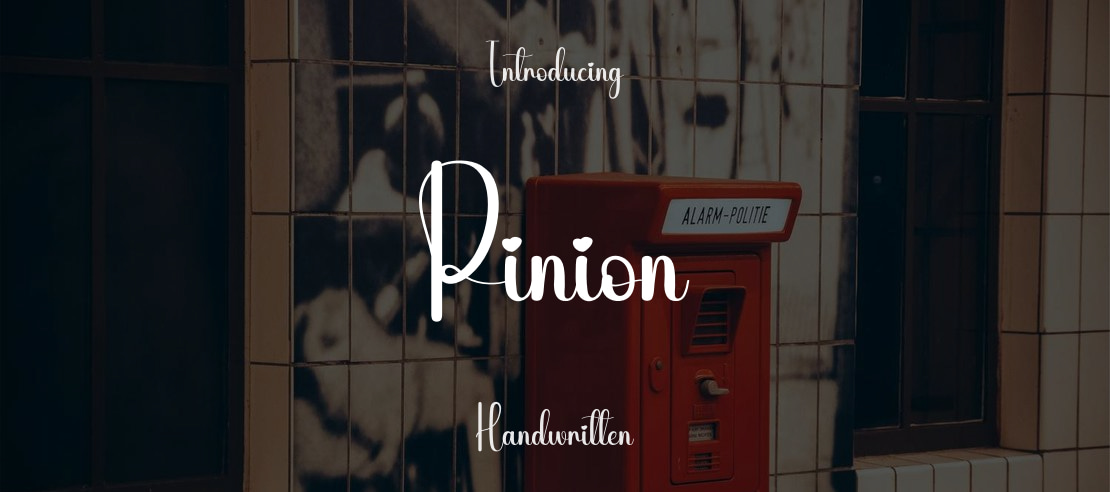 Pinion Font