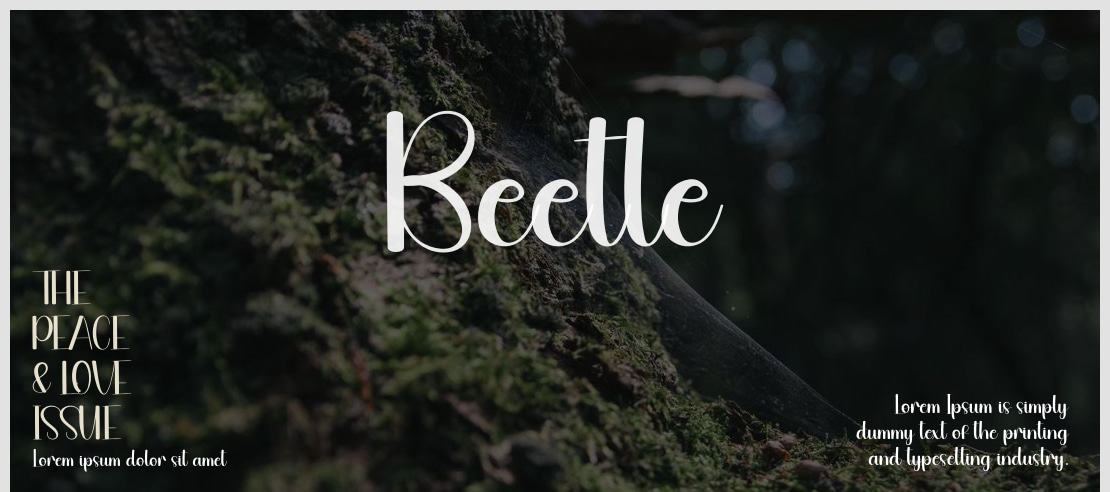 Beetle Font