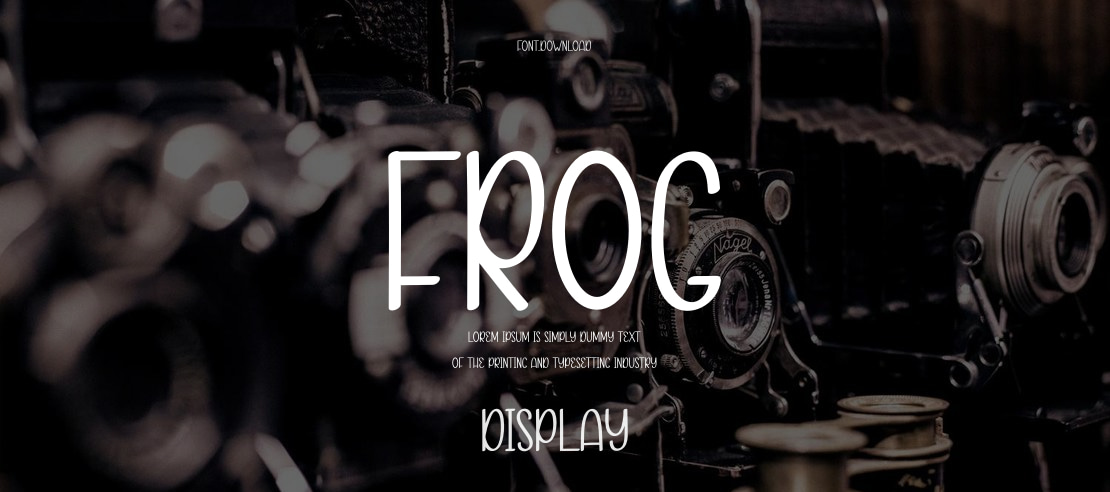 Frog Font