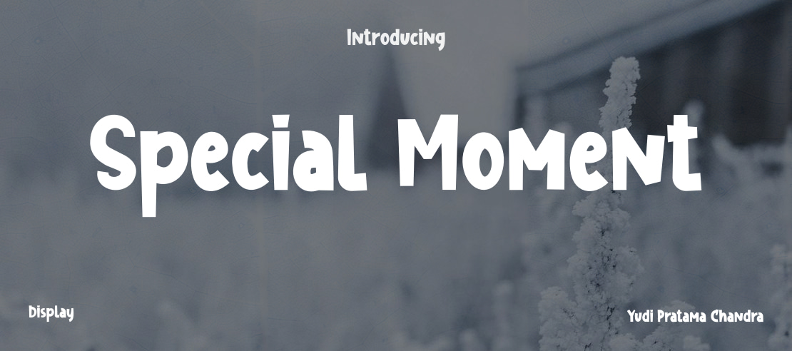Special Moment Font