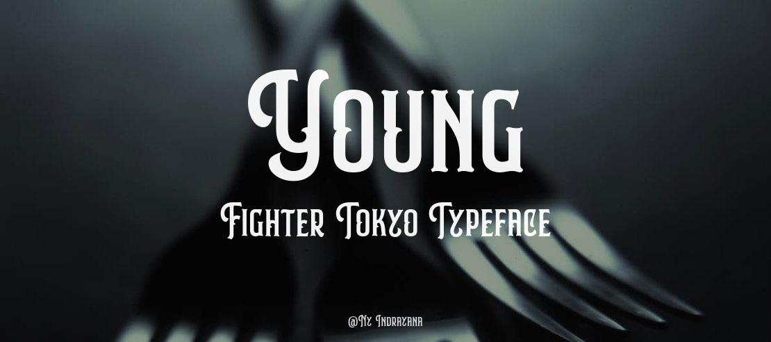 Young Fighter Tokyo Font