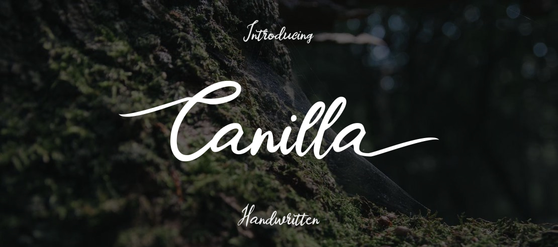 Canilla Font